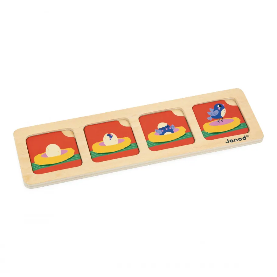 Janod Cartes Séquences - Le Jardin* Jeux Éducatifs Maternelle|Jeux Éducatifs Science & Géographie