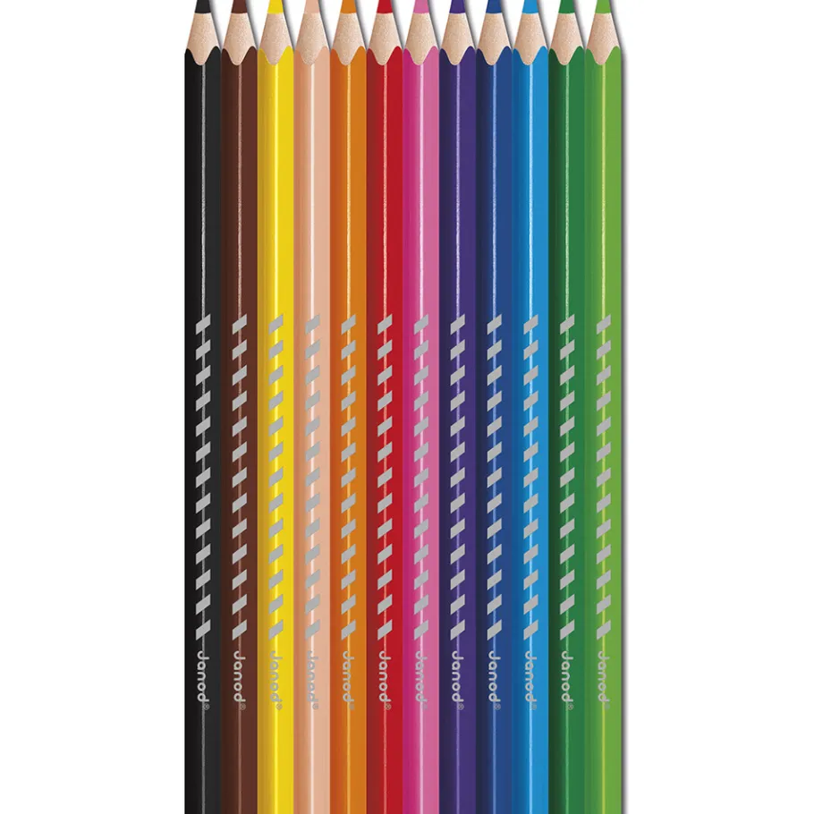Janod Crayons de Couleur x12* Peinture Par Numéro & Coloriage