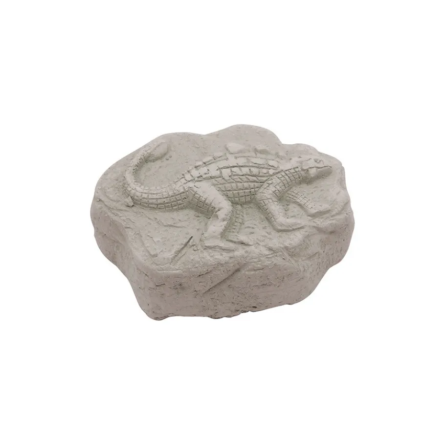 Janod Jurassic Explorer - Mallette Explorateur* Créations 3D|Cartes À Gratter