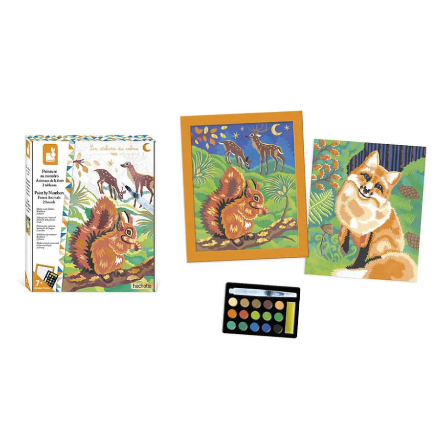 Janod Kit Créatif - Peinture par Numéro Animaux de la Forêt* Peinture Par Numéro & Coloriage
