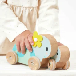Janod Set de 2 Tortues à Pousser Pure* Jouets À Promener & À Pousser