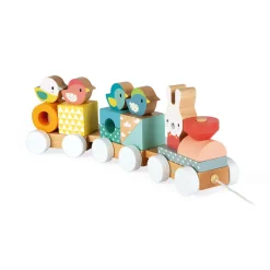Janod Train Pure (bois)* Trains & Véhicules